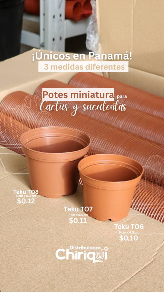 Modelos disponibles: TO6, TO7 y TO8 (diámetros mini de 6 cm, 7 cm y 8 cm). Marca: Pöppelmann Teku (calidad industrial alemana). Drenaje óptimo: Base perforada multinivel para rápida evacuación de agua. Uso recomendado: Cultivo de mini cactus, reproducción de suculentas, semilleros, plantas de colección y regalos de recuerdos/eventos.